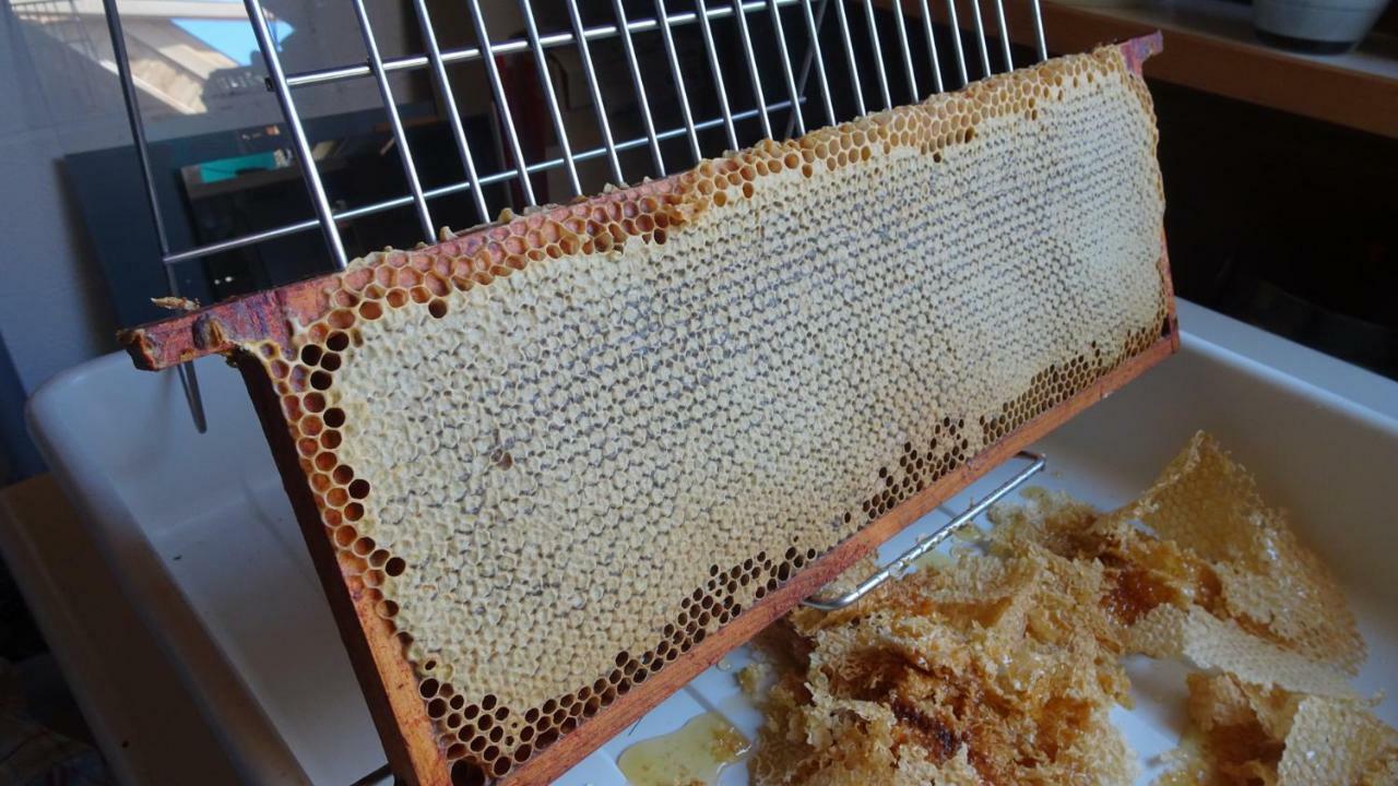 Huppaye La Miellerie旅馆 外观 照片